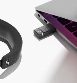 Accentum Wireless Copper with BTD 600 - SE